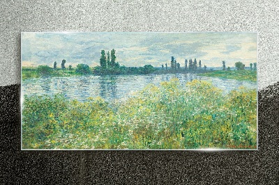 Tableau en verre Vue sur la rivière dans la verdure