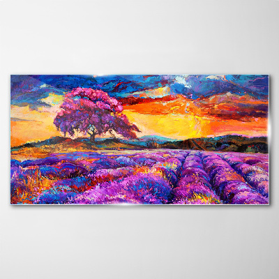 Tableau imprimé sur verre Champs de lavande violette au coucher du soleil
