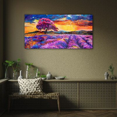 Tableau imprimé sur verre Champs de lavande violette au coucher du soleil