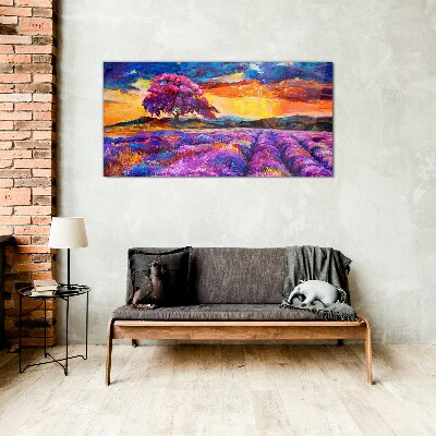 Tableau imprimé sur verre Champs de lavande violette au coucher du soleil