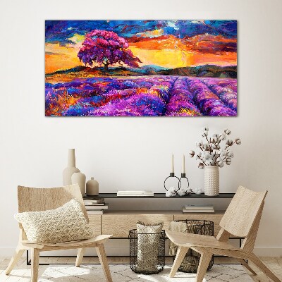 Tableau imprimé sur verre Champs de lavande violette au coucher du soleil
