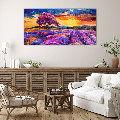Tableau imprimé sur verre Champs de lavande violette au coucher du soleil