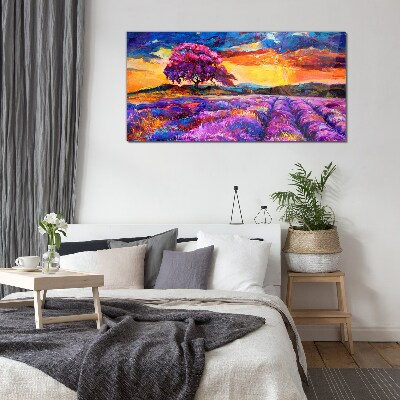 Tableau imprimé sur verre Champs de lavande violette au coucher du soleil