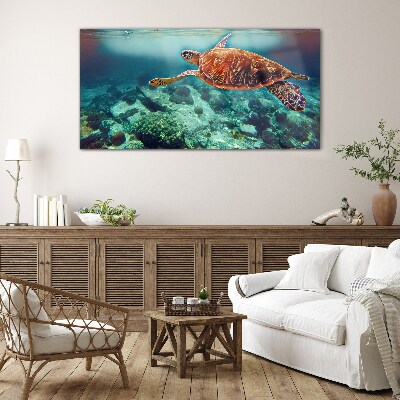 Tableau sur verre Tortue dans des eaux tranquilles