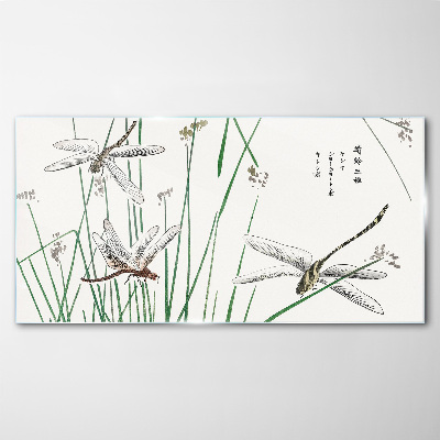 Tableau imprimé sur verre Libellules élancées dans un environnement verdoyant