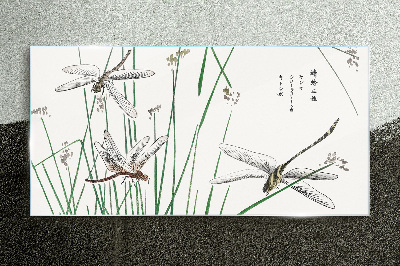 Tableau imprimé sur verre Libellules élancées dans un environnement verdoyant