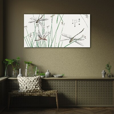 Tableau imprimé sur verre Libellules élancées dans un environnement verdoyant