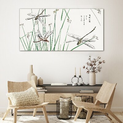 Tableau imprimé sur verre Libellules élancées dans un environnement verdoyant