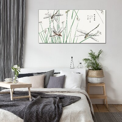 Tableau imprimé sur verre Libellules élancées dans un environnement verdoyant