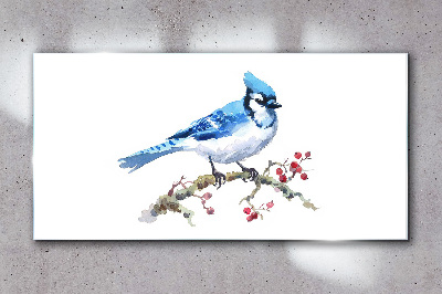 Tableau imprimé sur verre Merle bleu sur une branche