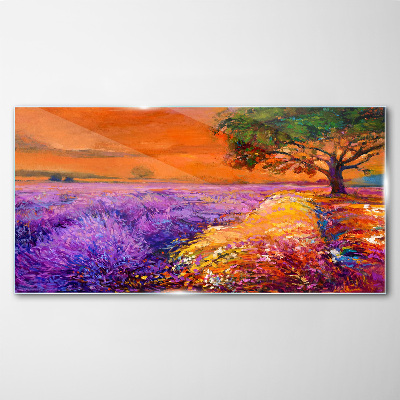 Tableau sur verre Champs de lavande au coucher du soleil