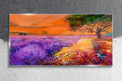 Tableau sur verre Champs de lavande au coucher du soleil