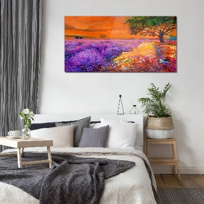 Tableau sur verre Champs de lavande au coucher du soleil