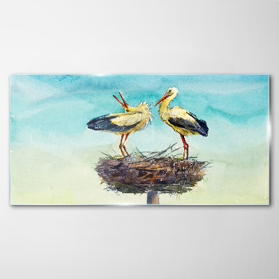 Tableau en verre Cigognes sur un nid dans le bleu