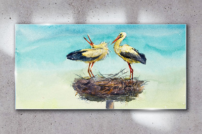 Tableau en verre Cigognes sur un nid dans le bleu