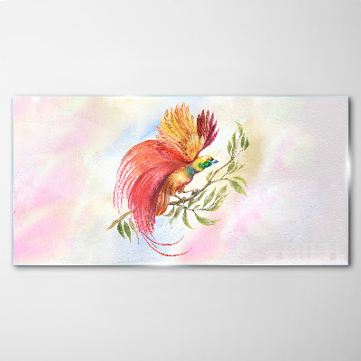 Tableau sur verre Un oiseau coloré sur une branche