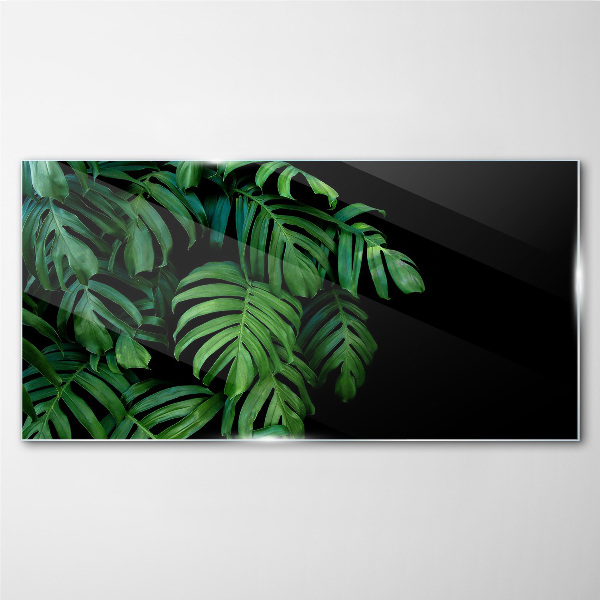 Tableau sur verre Feuilles vertes sur fond noir