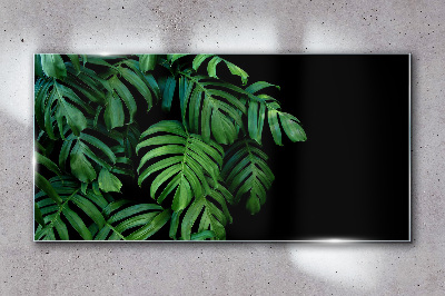 Tableau sur verre Feuilles vertes sur fond noir