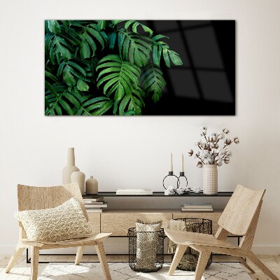 Tableau sur verre Feuilles vertes sur fond noir