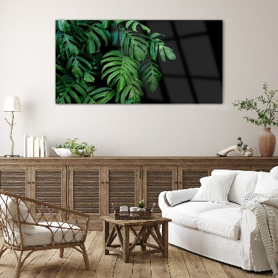 Tableau sur verre Feuilles vertes sur fond noir