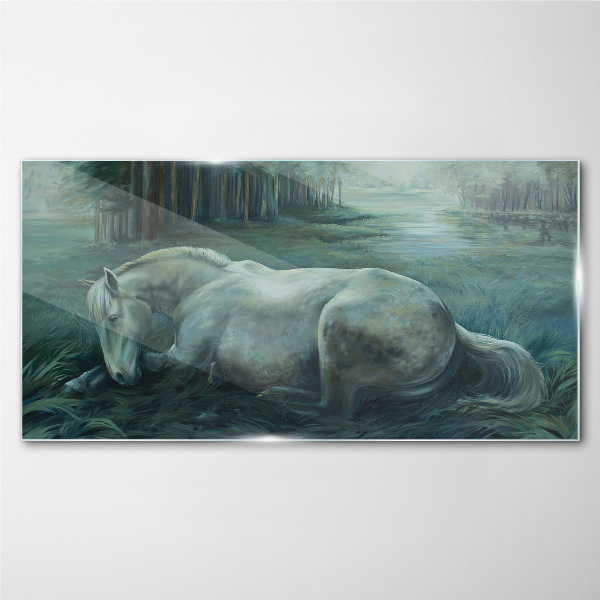 Tableau sur verre Un cheval calme dans un paysage forestier