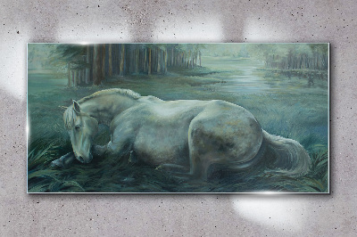 Tableau sur verre Un cheval calme dans un paysage forestier