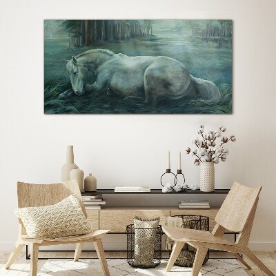 Tableau sur verre Un cheval calme dans un paysage forestier