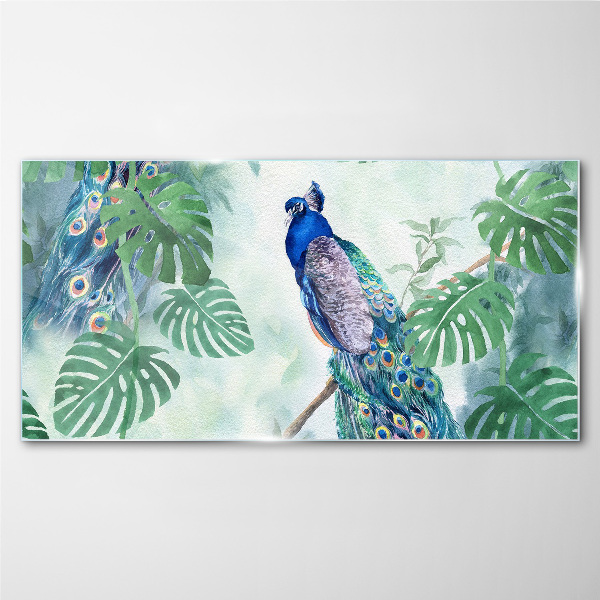 Tableau verre imprimé Paon dans la jungle tropicale