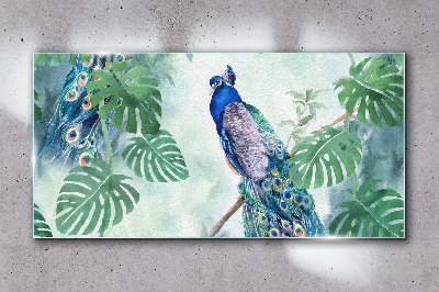 Tableau verre imprimé Paon dans la jungle tropicale