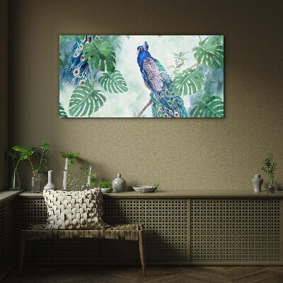Tableau verre imprimé Paon dans la jungle tropicale