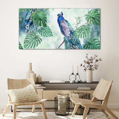 Tableau verre imprimé Paon dans la jungle tropicale