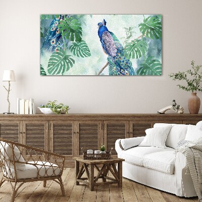 Tableau verre imprimé Paon dans la jungle tropicale