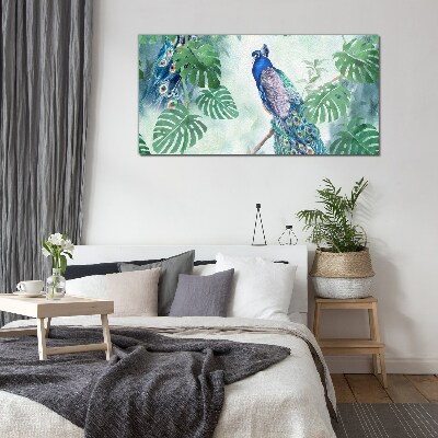 Tableau verre imprimé Paon dans la jungle tropicale