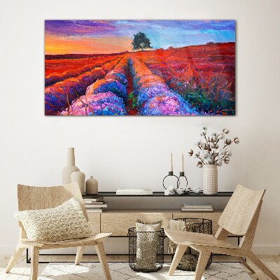 Tableau verre imprimé Paysage de champs de lavande au coucher du soleil