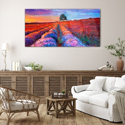 Tableau verre imprimé Paysage de champs de lavande au coucher du soleil