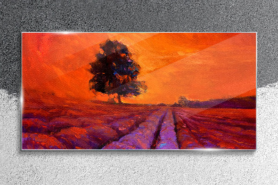 Tableau en verre Coucher de soleil sur les champs