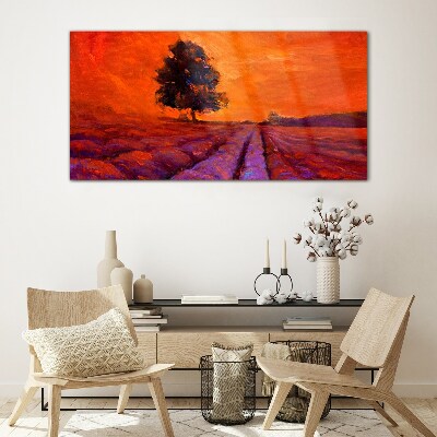 Tableau en verre Coucher de soleil sur les champs