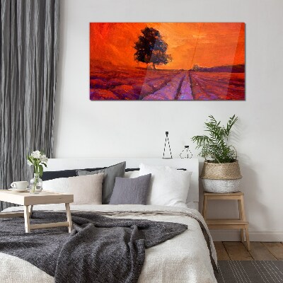 Tableau en verre Coucher de soleil sur les champs