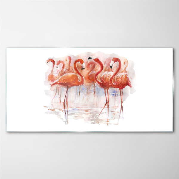 Tableau photo sur verre Flamants roses sur fond d'eau