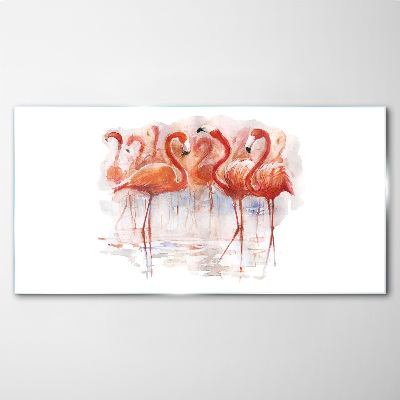 Tableau photo sur verre Flamants roses sur fond d'eau