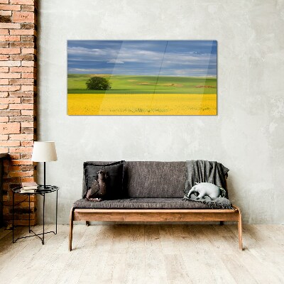 Tableau verre imprimé Champs jaunes sous un ciel bleu