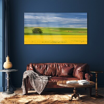 Tableau verre imprimé Champs jaunes sous un ciel bleu