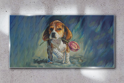 Tableau photo sur verre Un chien avec une rose contre le ciel