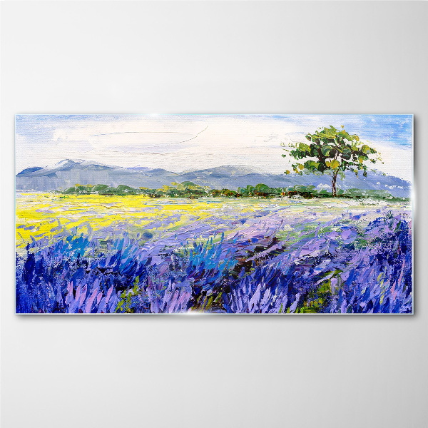 Tableau en verre Champs de lavande à la lumière du jour