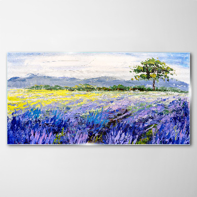 Tableau en verre Champs de lavande à la lumière du jour