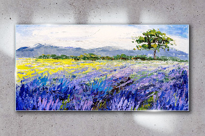 Tableau en verre Champs de lavande à la lumière du jour