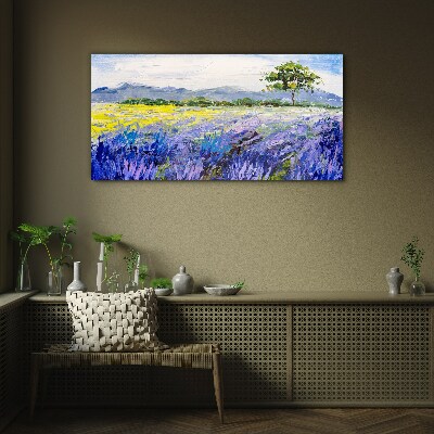 Tableau en verre Champs de lavande à la lumière du jour