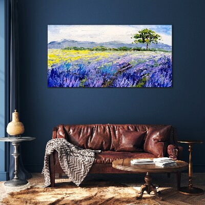 Tableau en verre Champs de lavande à la lumière du jour