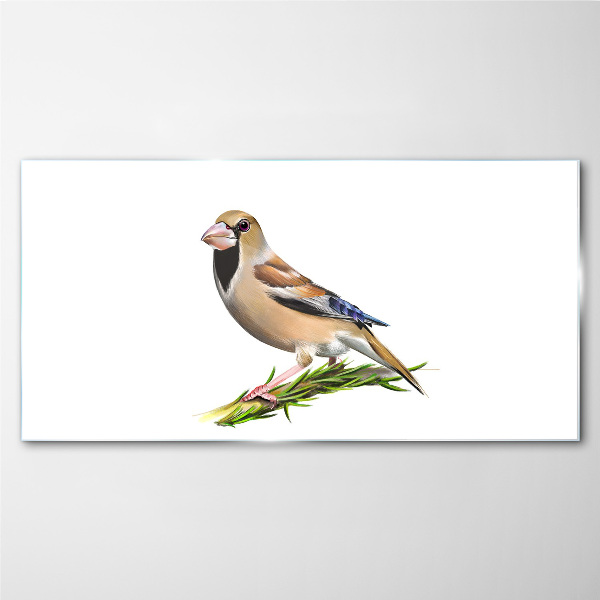 Tableau imprimé sur verre Un oiseau sur une brindille