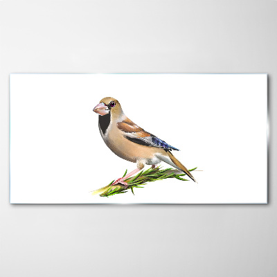Tableau imprimé sur verre Un oiseau sur une brindille